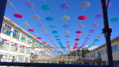 WIN_20251103_13_43_34_Pro